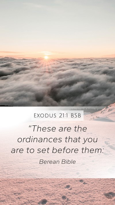 Exodus 21:1 BSB Bible Verse Image