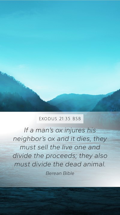 Exodus 21:35 BSB Mobile Phone Wallpaper - If a man’s ox injures his neighbor’s ox and - Mobile Bible Verse Wallpaper