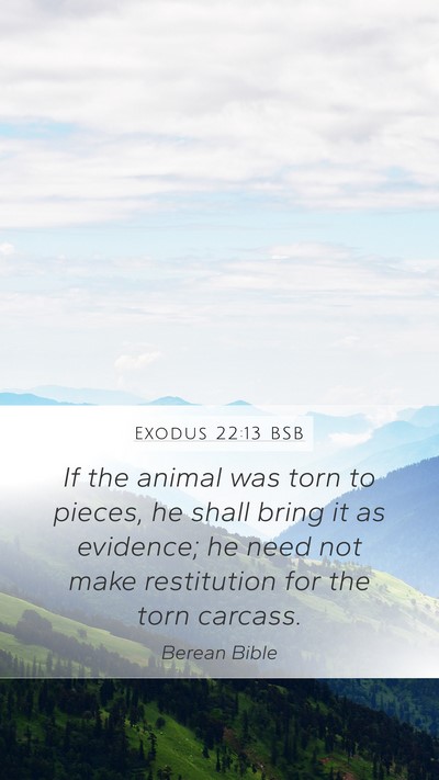 Exodus 22:13 BSB Mobile Phone Wallpaper - If the animal was torn to pieces, he shall bring - Mobile Bible Verse Wallpaper