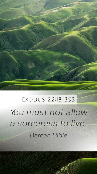 Exodus 22:18 BSB Bible Verse Image