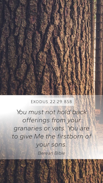 Exodus 22:29 BSB Bible Verse Image