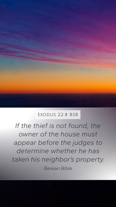 Exodus 22:8 BSB Bible Verse Image