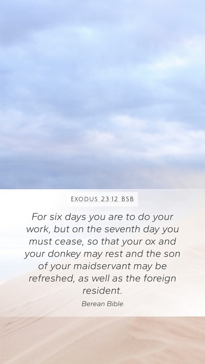 Exodus 23:12 BSB Bible Verse Image