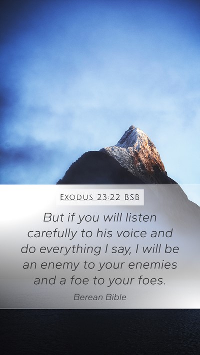 Exodus 23:22 BSB Bible Verse Image
