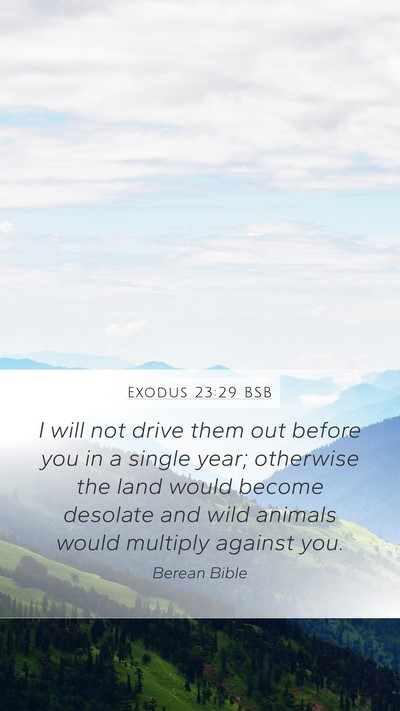 Exodus 23:29 BSB Bible Verse Image
