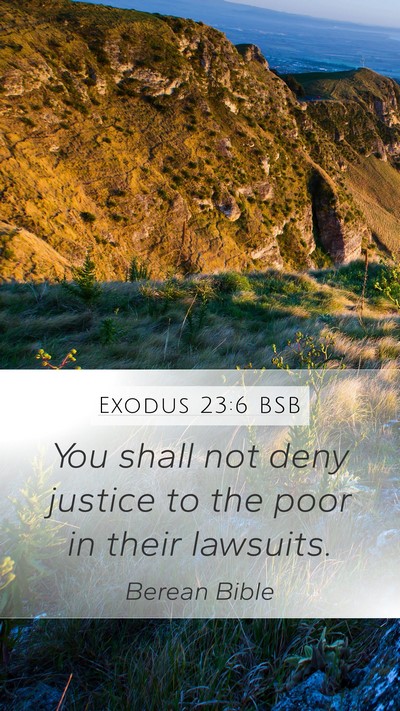 Exodus 23:6 BSB Bible Verse Image