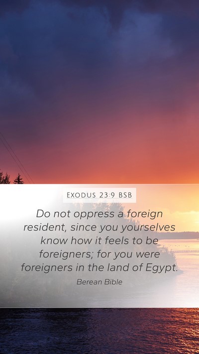 Exodus 23:9 BSB Bible Verse Image