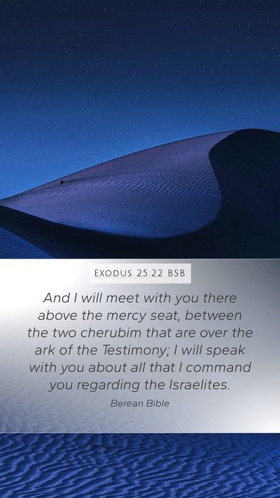 Exodus 25:22 BSB Bible Verse Image