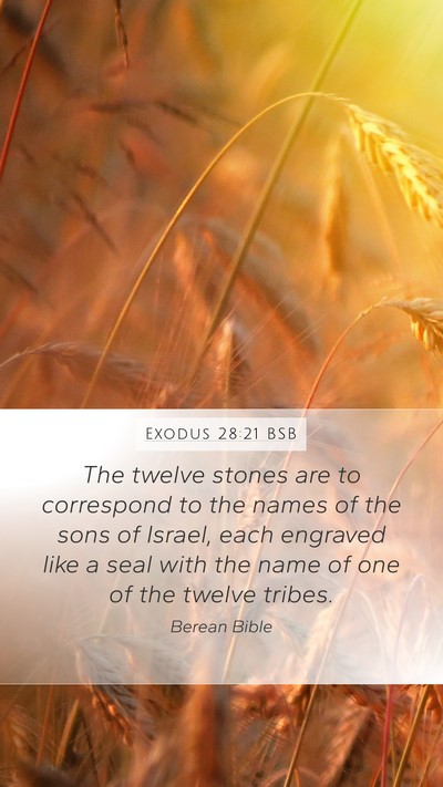 Exodus 28:21 BSB Bible Verse Image