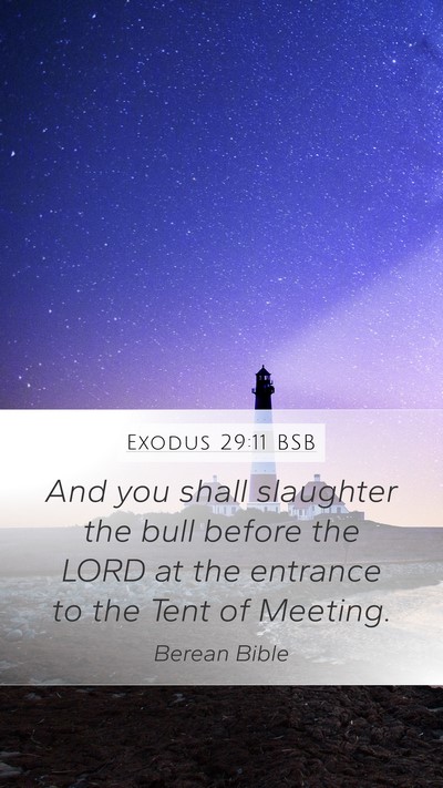 Exodus 29:11 BSB Bible Verse Image
