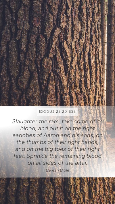 Exodus 29:20 BSB Bible Verse Image