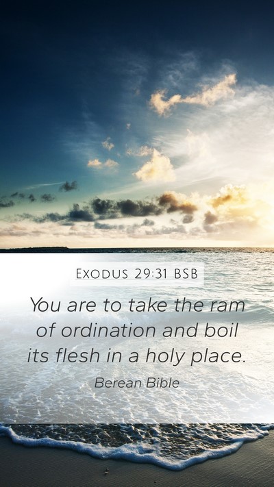 Exodus 29:31 BSB Mobile Phone Wallpaper - You are to take the ram of ordination and boil - Mobile Bible Verse Wallpaper