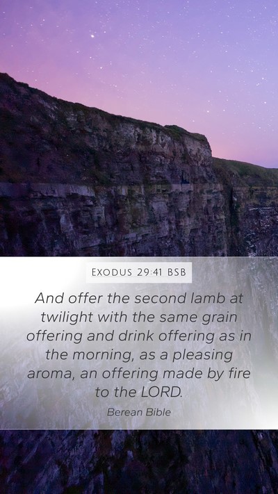 Exodus 29:41 BSB Bible Verse Image