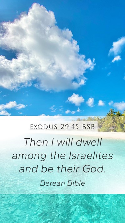 Exodus 29:45 BSB Bible Verse Image