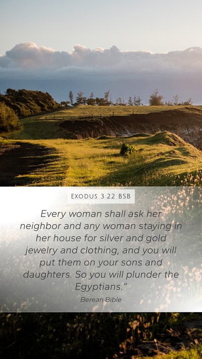 Exodus 3:22 BSB Bible Verse Image