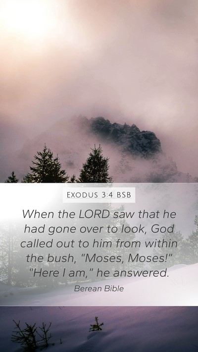 Exodus 3:4 BSB Bible Verse Image