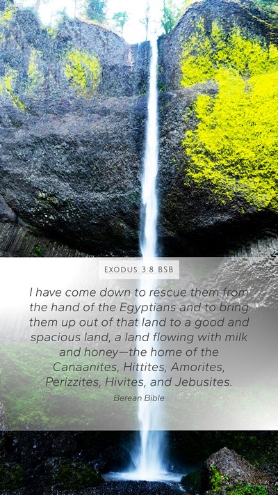 Exodus 3:8 BSB Bible Verse Image