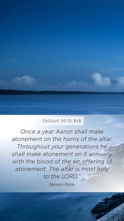 Exodus 30:10 BSB Bible Verse Image