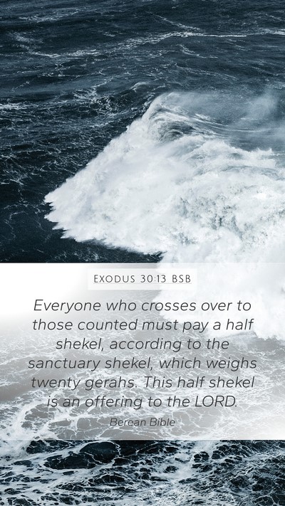 Exodus 30:13 BSB Bible Verse Image