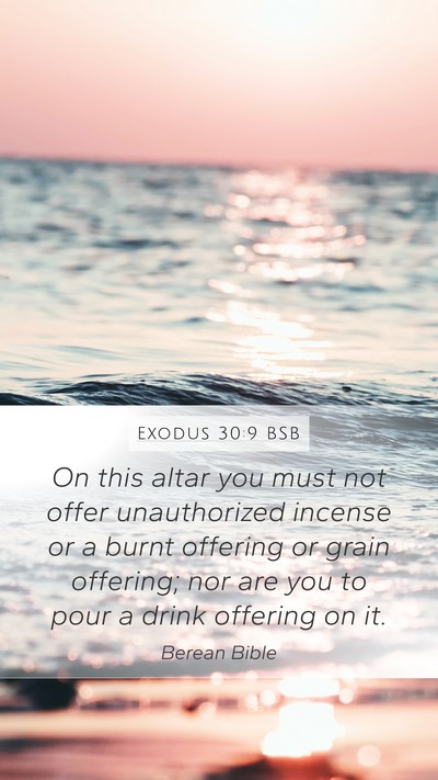 Exodus 30:9 BSB Bible Verse Image