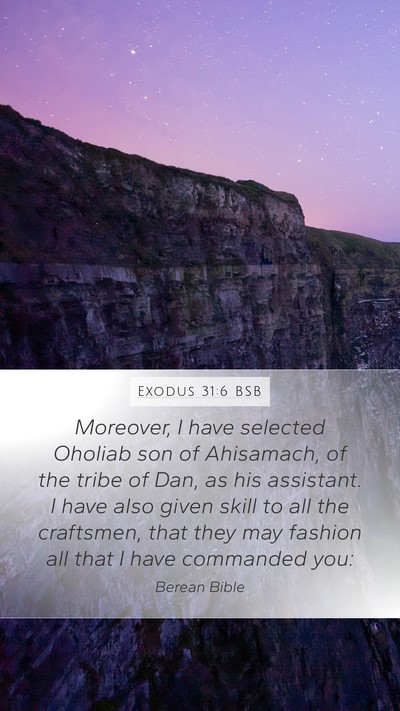 Exodus 31:6 BSB Bible Verse Image