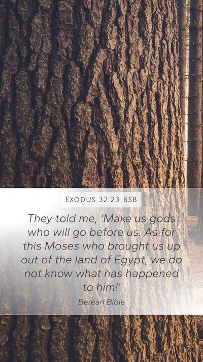Exodus 32:23 BSB Mobile Phone Wallpaper - They told me, ‘Make us gods who will go before - Mobile Bible Verse Wallpaper