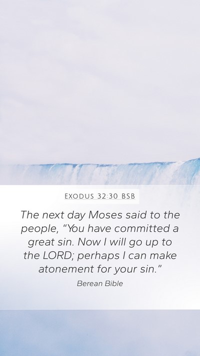 Exodus 32:30 BSB Bible Verse Image