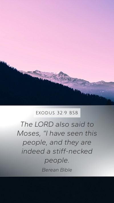 Exodus 32:9 BSB Bible Verse Image