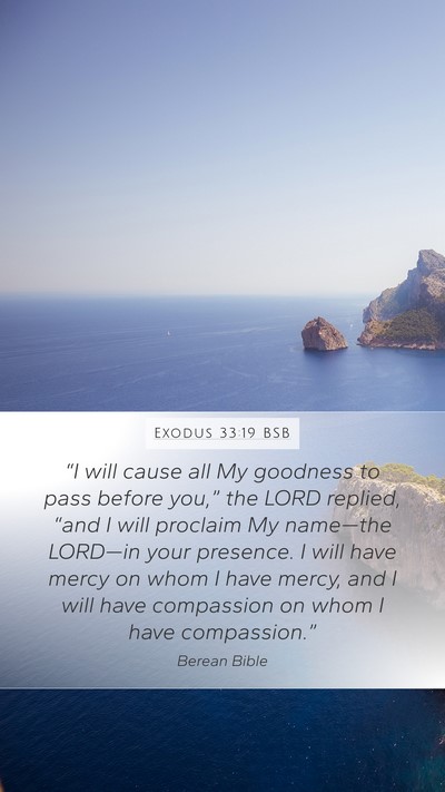 Exodus 33:19 BSB Bible Verse Image