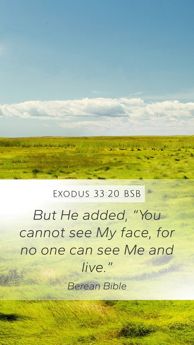 Exodus 33:20 BSB Bible Verse Image