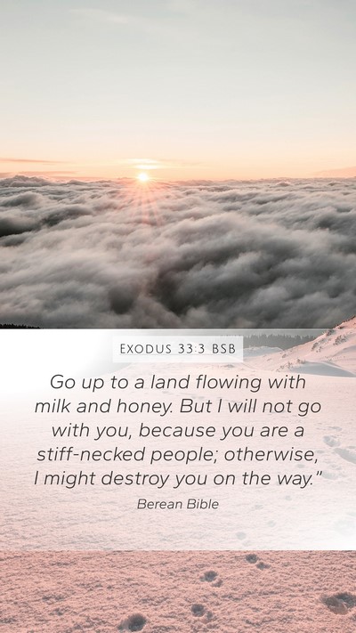 Exodus 33:3 BSB Bible Verse Image