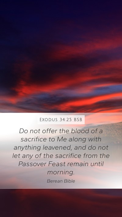 Exodus 34:25 BSB Bible Verse Image