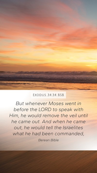 Exodus 34:34 BSB Bible Verse Image
