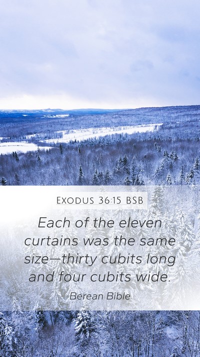 Exodus 36:15 BSB Mobile Phone Wallpaper - Each of the eleven curtains was the same - Mobile Bible Verse Wallpaper