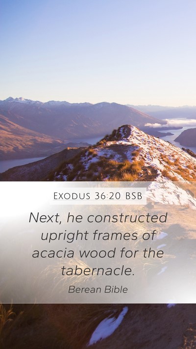 Exodus 36:20 BSB Bible Verse Image