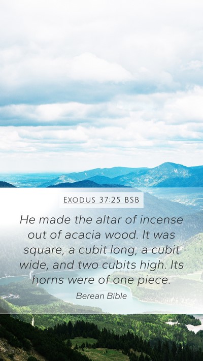 Exodus 37:25 BSB Bible Verse Image