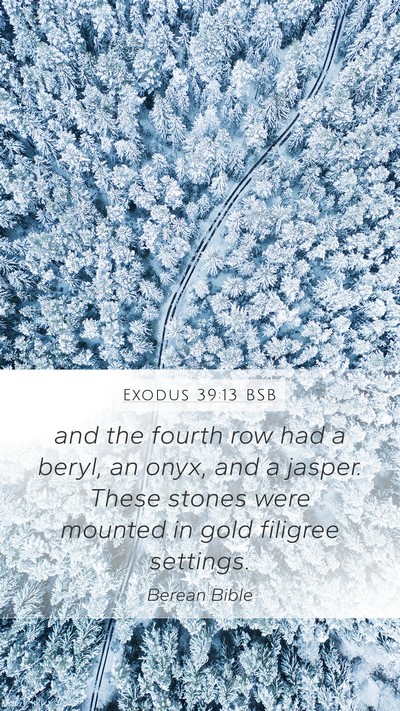 Exodus 39:13 BSB Bible Verse Image