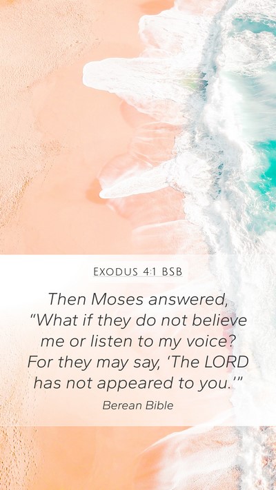 Exodus 4:1 BSB Bible Verse Image