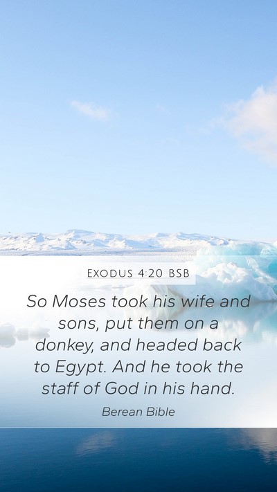 Exodus 4:20 BSB Bible Verse Image