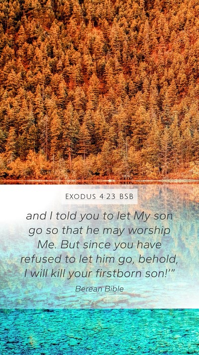 Exodus 4:23 BSB Bible Verse Image