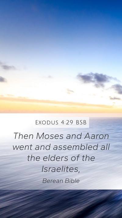 Exodus 4:29 BSB Bible Verse Image