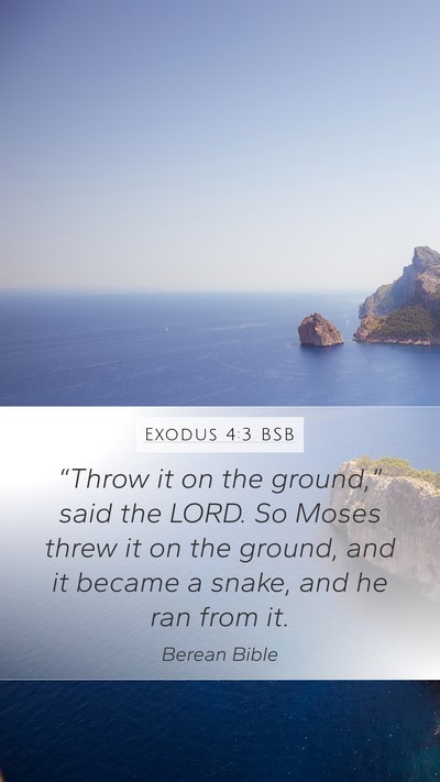 Exodus 4:3 BSB Mobile Phone Wallpaper - “Throw it on the ground,” said the LORD. So - Mobile Bible Verse Wallpaper