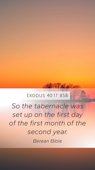 Exodus 40:17 BSB Bible Verse Image