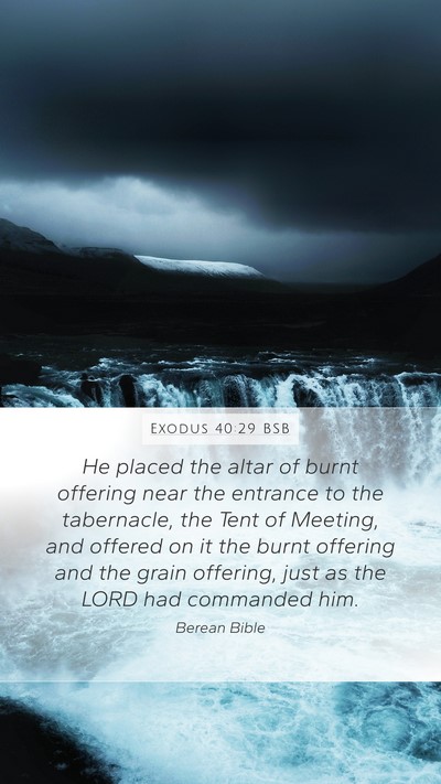 Exodus 40:29 BSB Bible Verse Image