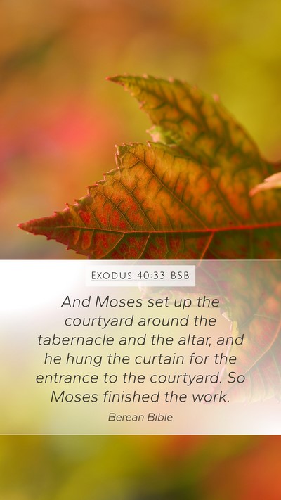 Exodus 40:33 BSB Bible Verse Image