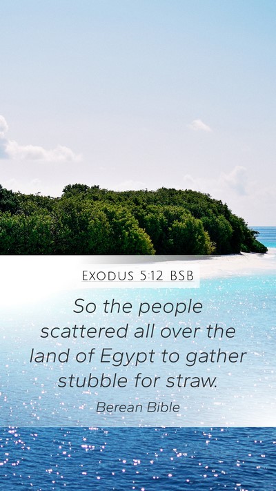 Exodus 5:12 BSB Mobile Phone Wallpaper - So the people scattered all over the land of - Mobile Bible Verse Wallpaper