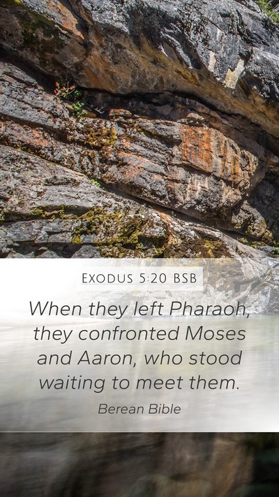 Exodus 5:20 BSB Mobile Phone Wallpaper - When they left Pharaoh, they confronted Moses and - Mobile Bible Verse Wallpaper