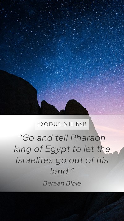 Exodus 6:11 BSB Mobile Phone Wallpaper - “Go and tell Pharaoh king of Egypt to let the - Mobile Bible Verse Wallpaper