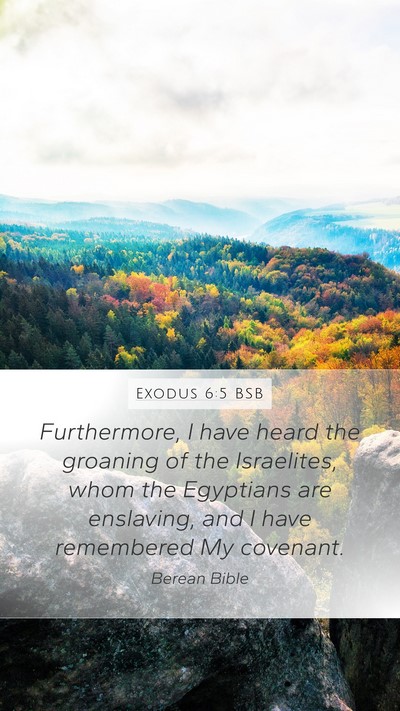 Exodus 6:5 BSB Bible Verse Image