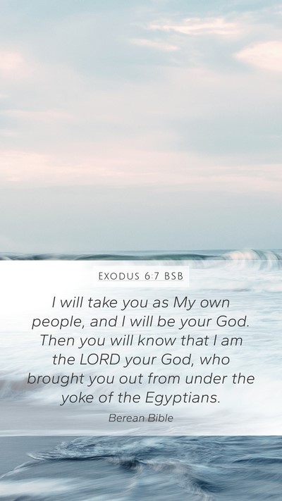 Exodus 6:7 BSB Bible Verse Image
